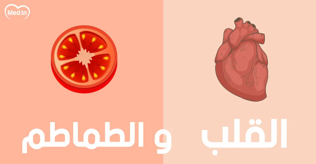  أطعمة تشبه أعضاء الجسم و مفيدة لها... تعرف عليها